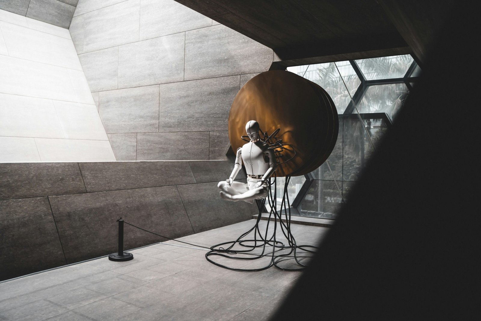 yuyang-liu-dp9Jrww_BRs-unsplash